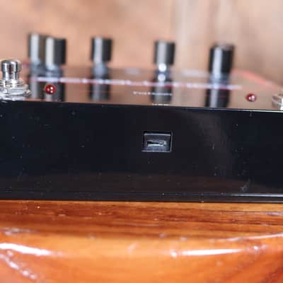Pigtronix Echolution 2 Delay with E2-R Echolution 2 Remote foot switch image 4
