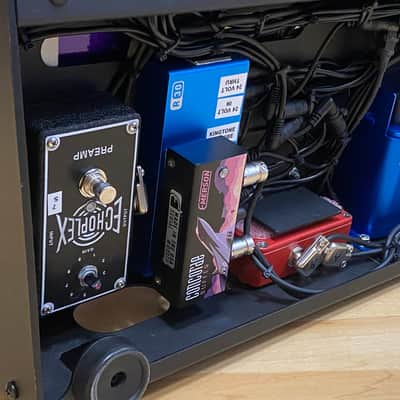 Friedman Complete Built Pedal board-Acoustic,Electric and Vocals image 11
