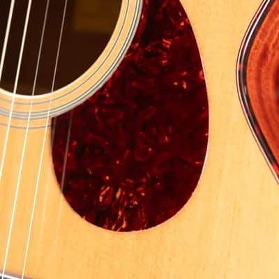 Eastman E1OMCE-DLX OM Acoustic/Electric Guitar with Gig Bag image 12