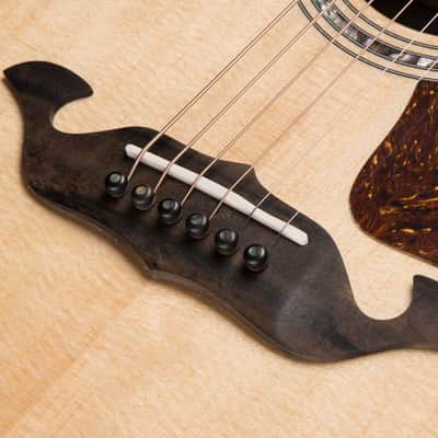 Taylor Legacy 815e image 17