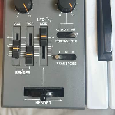 Roland SH-101 + FLIGHT CASE image 10