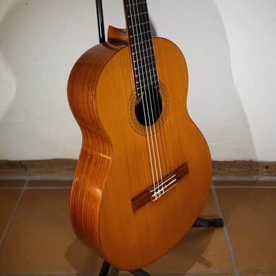 Vicente Sanchis (Luthier) 38 image 14