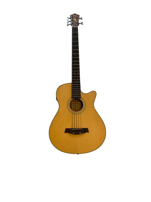 Ibanez 5-String Acoustic/Electric Bass AEB305-LG-OP-01 Made In Korea image 1