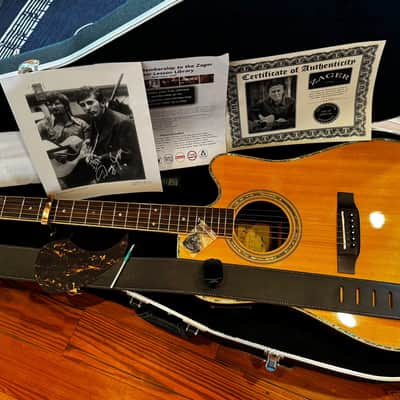 Zager ZAD-900CE  - Natural with Fishman Aura Pro Pickup image 1