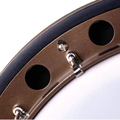 Deering Goodtime Two 5-String Resonator Banjo image 10