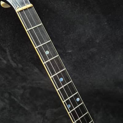 1962 Vega Wonder 4 String Banjo w/ Original Lifton Hard Shell Case image 12