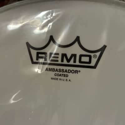 Remo Ambassador Coated 14” Lot of 4 image 2