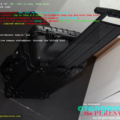 NEW! Avantgarde Sound • The Peresvet • 186hp Fully Powered Eurorack Case w/Wheels! image 5