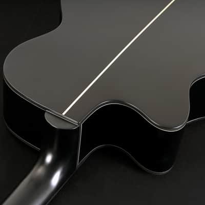 Washburn DFEACE Deep Forest Ebony Ace Stripe Wood Mahogany Neck 6-String Acoustic-Electric Guitar image 2