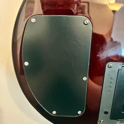 Line 6 James Tyler Variax JTV-59 – Tobacco Sunburst – Stainless Steel Frets – Fully Functional image 9