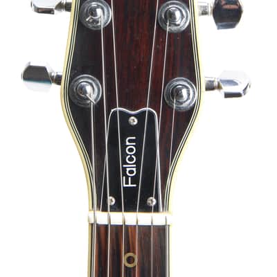Washburn Falcon Model C 1982 - Walnut image 9