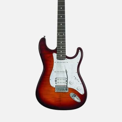 Washburn Sonamaster Deluxe Sunburst H/S/S image 8