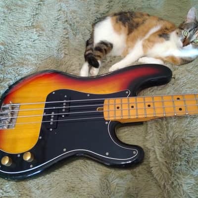 Cat sells Killer Bass :-) Greco Precision Bass 1980 Sunburst PB600S model \m/ image 9