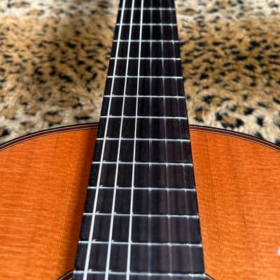 Cordoba C9 Parlor Nylon String Acoustic Guitar Natural image 9