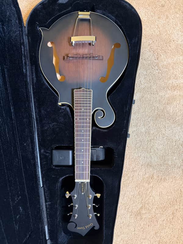 Gold Tone F-6 Manditar