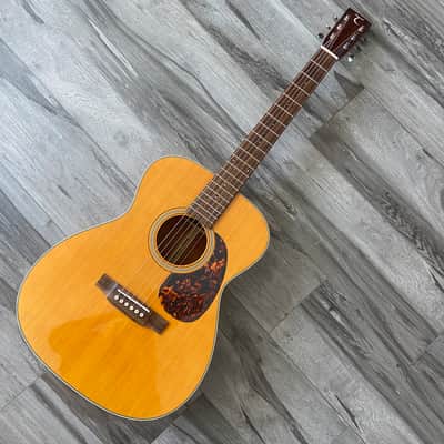 Tanglewood Sundance Historic TW40-O-AN, Hard Case 2010s image 16
