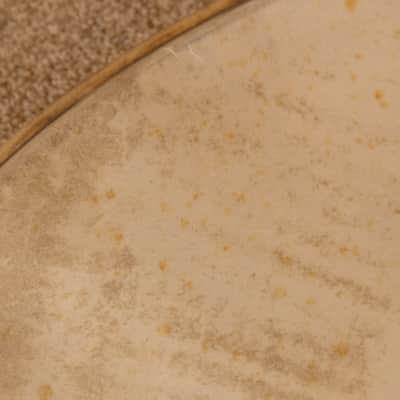 1950s WFL 24" Calfskin Bass Drum Head image 3