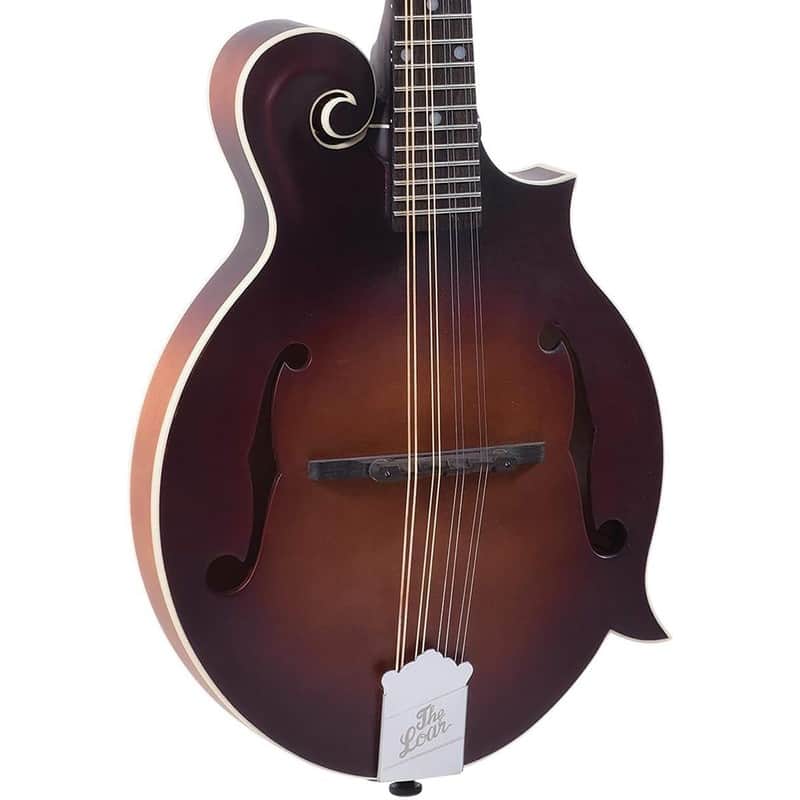 Loar F-Style Mandolin, Solid Top, Brownburst LM-310F-BRB image 1