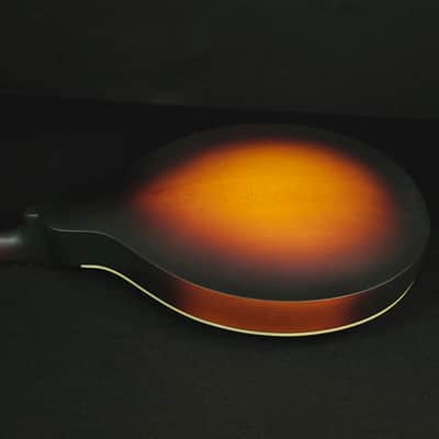 Eastman MD304E Electric A Style Oval Hole Electric K&K Mandolin with Bag image 17