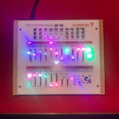 Rare Retrogradus Chorus 1a - Custom One of a Kind image 5