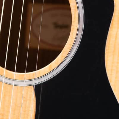 Taylor 212ce Plus Grand Concert Acoustic/Electric Guitar with Aerocase image 14