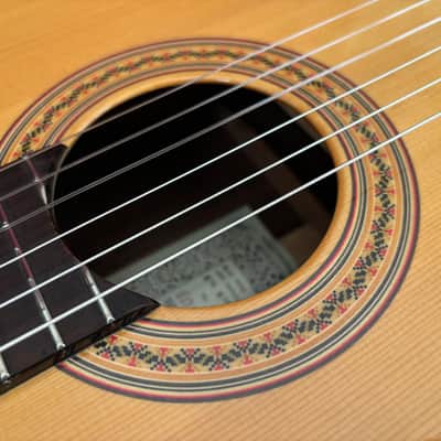 Asturias Wataru Tsuji N-2 Spruce/Indian Rosewood 1996 Japan image 8