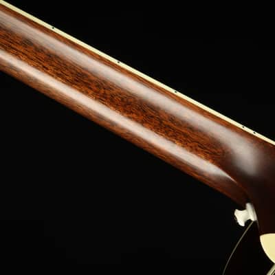 HOLD - Preston Thompson DBS-BA Billy Strings Signature - Brazilian & Adi #6 of 33 2021 image 10