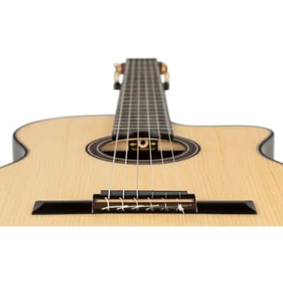 Ortega GRANDSUITE-CE Solid Spruce Top Okoume Slim Neck Nylon 6-String Acoustic-Electric Guitar w/Gig Bag image 16