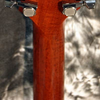 BREEDLOVE PRO SERIES C25/CRH, ACOUSTIC ELECTRIC image 6