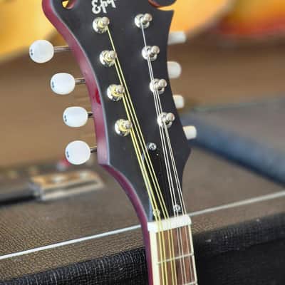 Epiphone F-5 Studio Mandolin 2025 - Wine Red Satin image 6