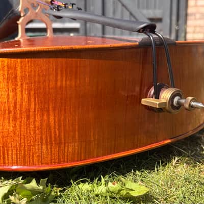 Westbury Eastman cello 4/4 - Hand varnish image 4