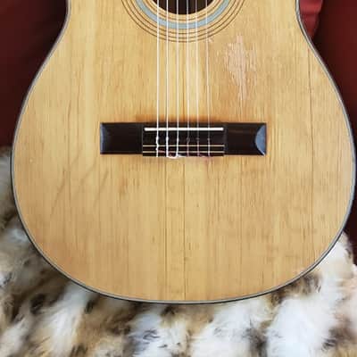 Raffael Calace & Figlio Classical Guitar-Luthier-Made, Naples, Italy 1960 image 2
