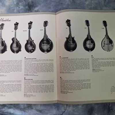 Vintage RARE 1965 Gibson Traditional Catalog Archtops Mandolins Pedal Steel Ukulele Case Candy image 4