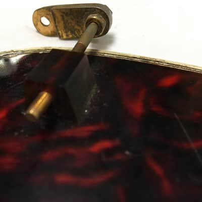 Gibson Byrdland pickguard 1967 image 3