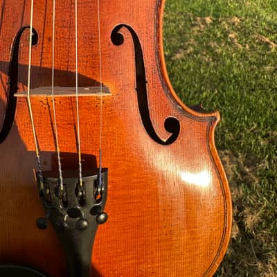 Deep Old Violin labeled “Testore” Czech 4/4 image 12