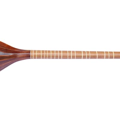 Persian Shourangiz Shurangiz Surangiz String Musical Instrument SHM-3 image 10