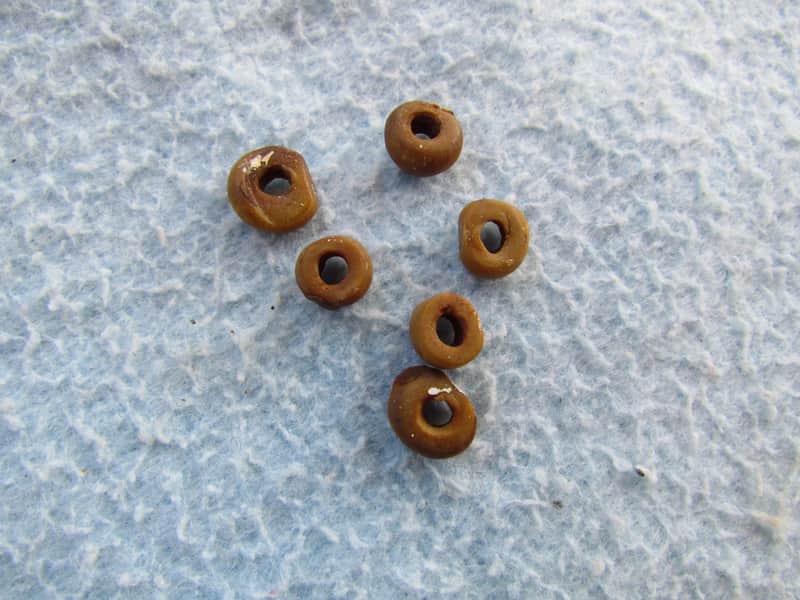 Vintage Fender Stratocaster Rubber Pickup Spacers Vintage Rubber Tubing For Fender Stratocaster Pickups image 1