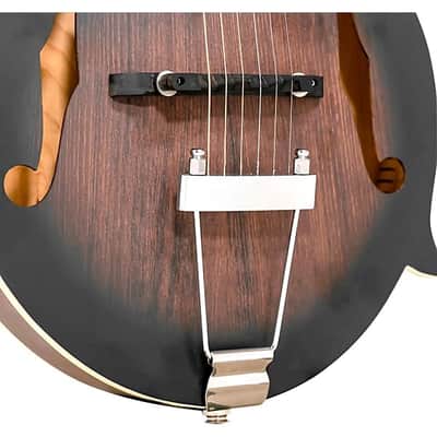 Gold Tone F-6 F-style 6-String Acoustic-Electric Mando-Guitar - Vintage Sunburst image 5