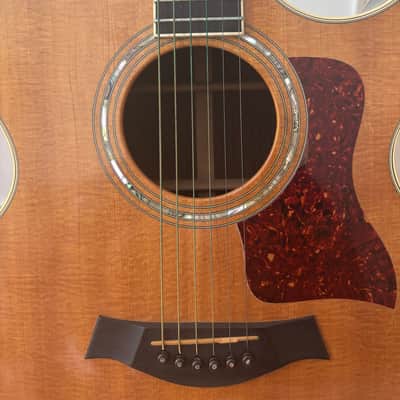Taylor 815c 1974 - 2005 - Natural image 6