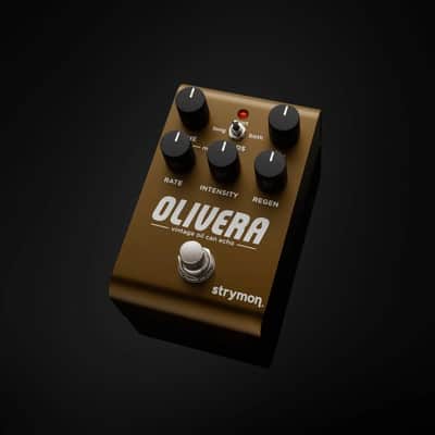 Strymon Olivera Vintage Oil Can Echo 2025 - Present - Olive image 5