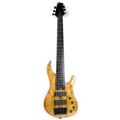 G.Gould GGi6 2020 Premium Burled Myrtle image 4