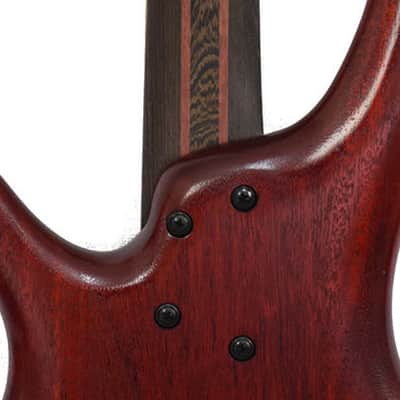 Ibanez Bass SR1425B-CGL Premium SR 5-String image 8
