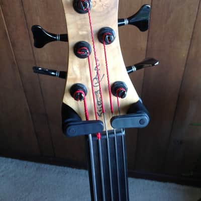 Roscoe LG-2000 flattop fretless image 3