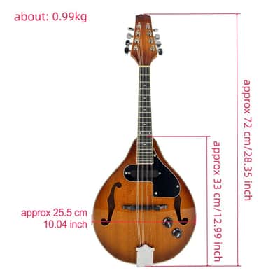 A-Style 8-String Acoustic-Electric Mandolin with Built-In Pickup, Gig Bag & Accessories image 2