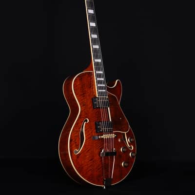 Ibanez AG95MGDA, AG Expressionist, Mango top/back/sides, Gold Hardware image 8