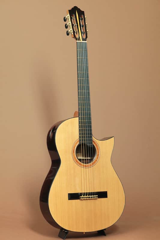 ダーツ Ryosuke Kobayashi Ryosuke Kobayashi Guitars Nylon Crossover Electric Cocobolo | Reverb
