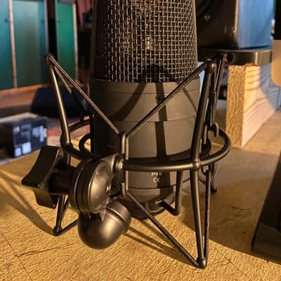 CAD Equitek E300S Large Diaphragm Multipattern Condenser Microphone image 2