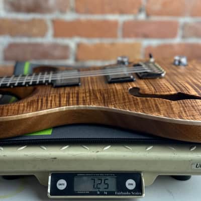 PRS Wood Library Custom 24 Fatback Semi-Hollow! - Copperhead 425090 image 15