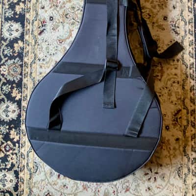 Carvalho Irish bouzouki PTB305 with case image 4