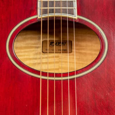 Daion The Year Series '81 Caribou - Wine Red (WR) - Electric Acoustic Six String image 4